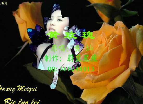 黄玫瑰 截图 4