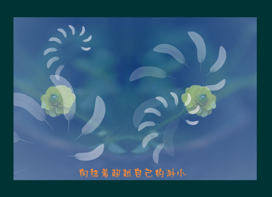 羽毛（_精灵_） 截图 2/8