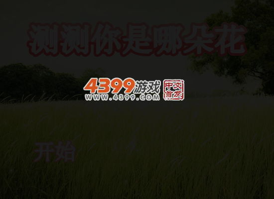 测测你是哪朵花 截图 5/7