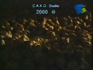 Stones(K_vek)[Ferenc.Cakó][2000]（Ferenc） 截图 4/8