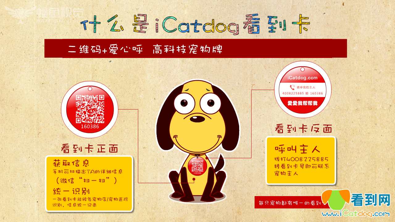 icatdog看到网介绍（蝠鱼视觉） 截图 7/8