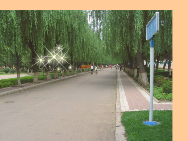 感恩生活 截图 3