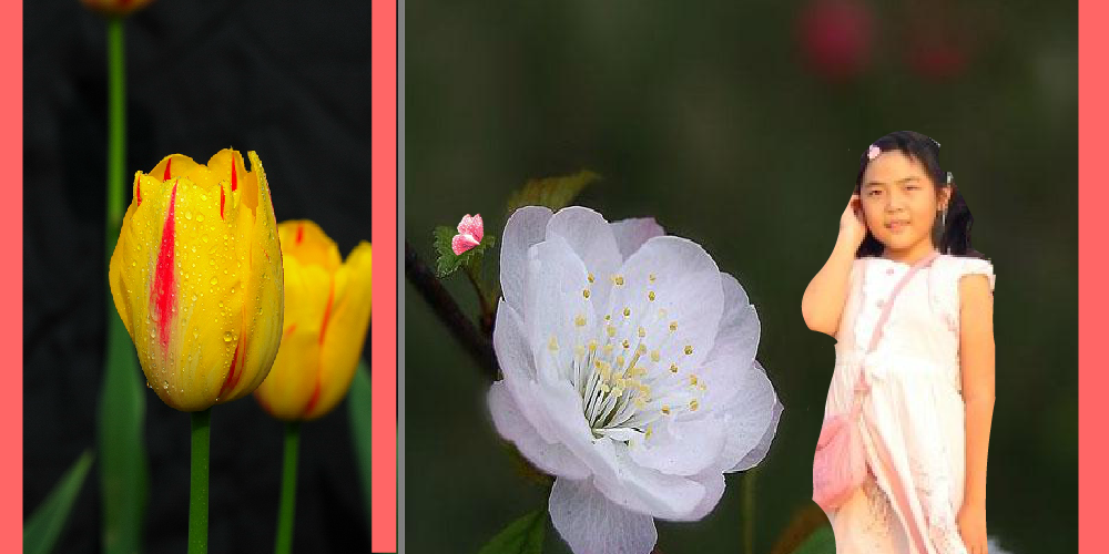 豆豆如花儿（sz_yxf） 截图 3/7