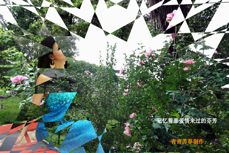 木槿花（sz_yxf） 截图 1/8