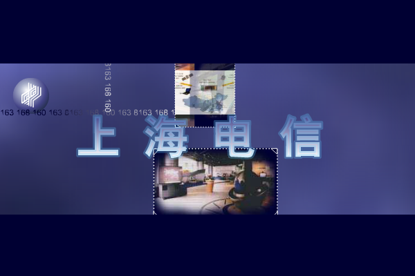 上海电信（阿霉） 截图 3/8