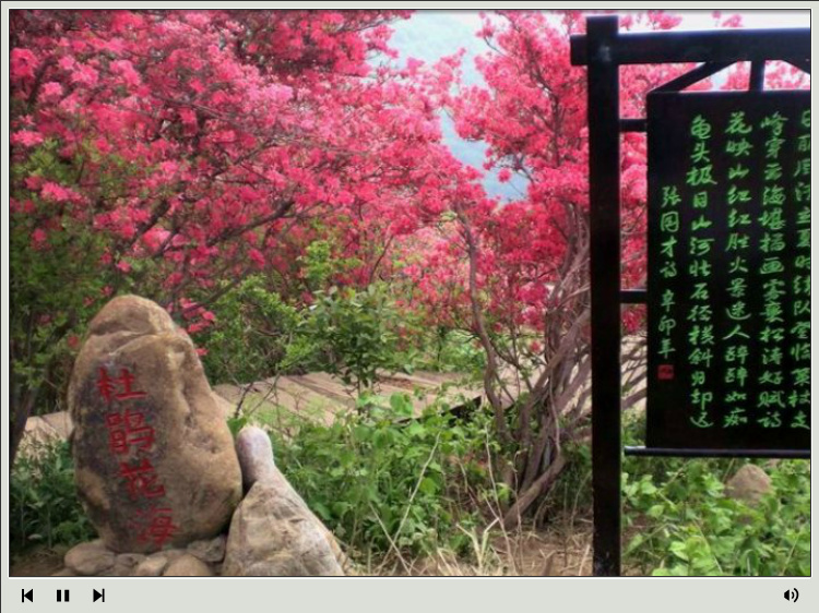 杜鹃花海—麻城观光摄影（浔阳司马） 截图 5/8