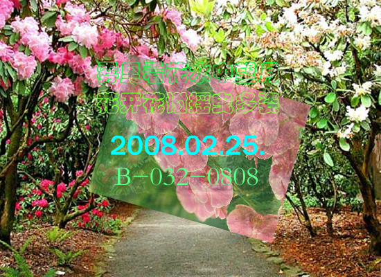 雾里看花（Blue） 截图 7/8