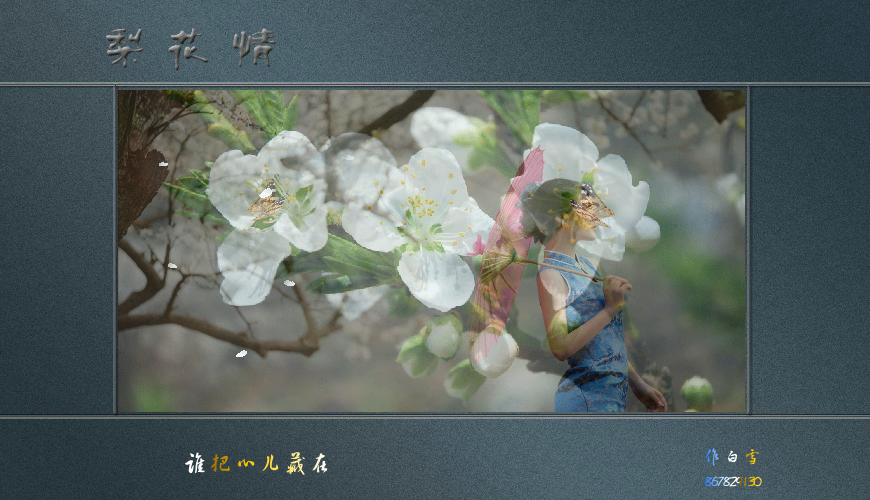 梨花情（白雪） 截图 5/8