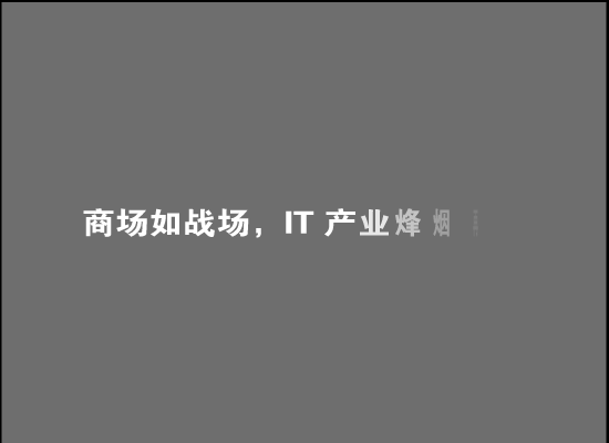 中国电脑商500强（www.cpw.com.cn） 截图 6/8