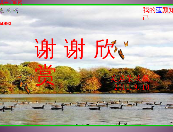 说来听听-蓝颜知己.swf（WQY） 截图 5/8