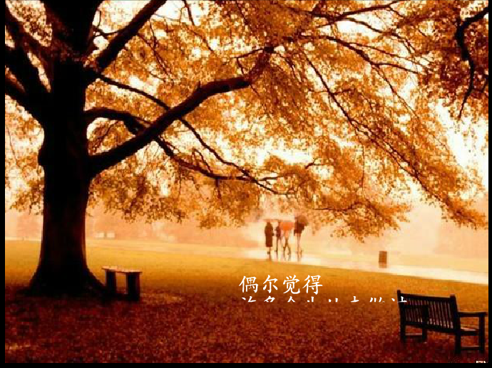 梦里落花何时猜（梦里落花何时猜） 截图 5/7