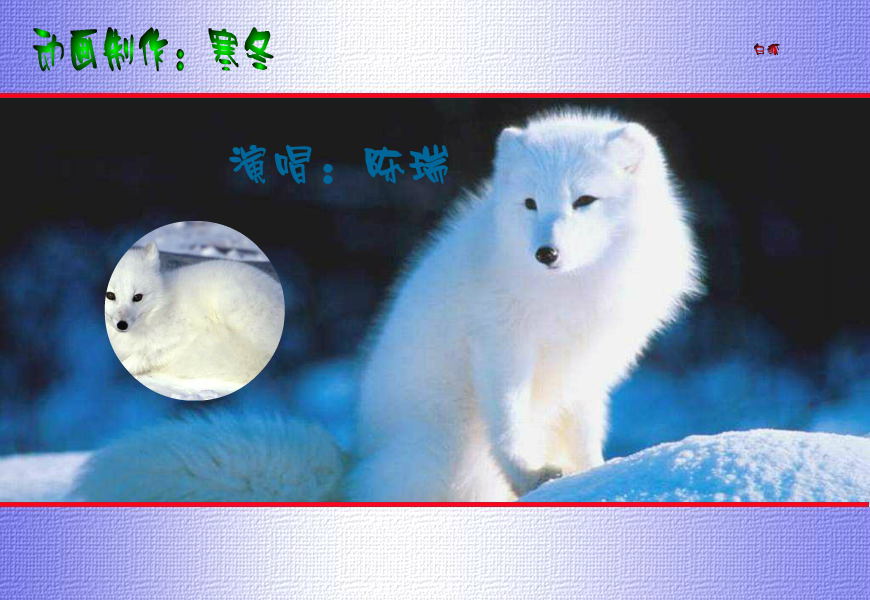 白狐 截图 1