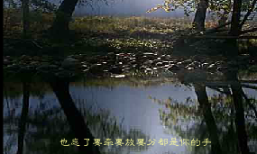 伤心1999（不详） 截图 5/7