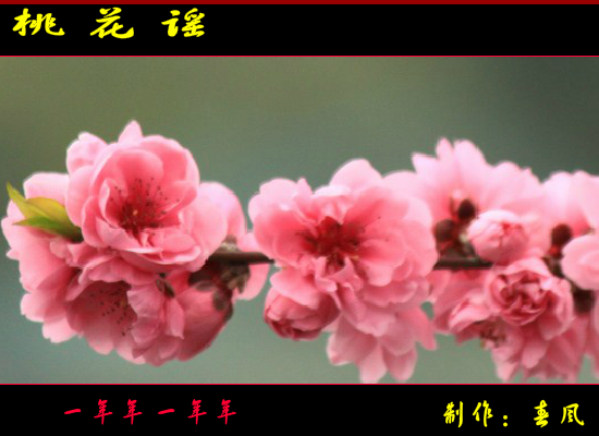 桃花谣（指间春色（春风）） 截图 2/8