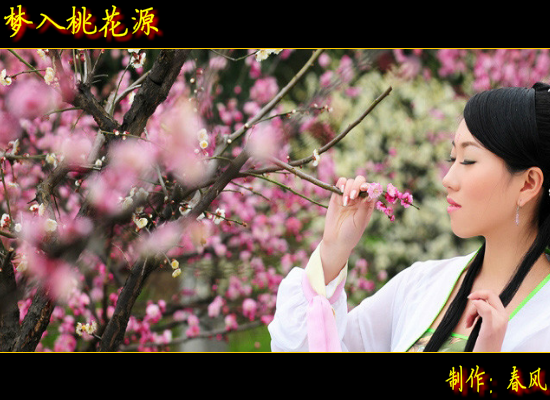 梦入桃花源（指间春色） 截图 5/8