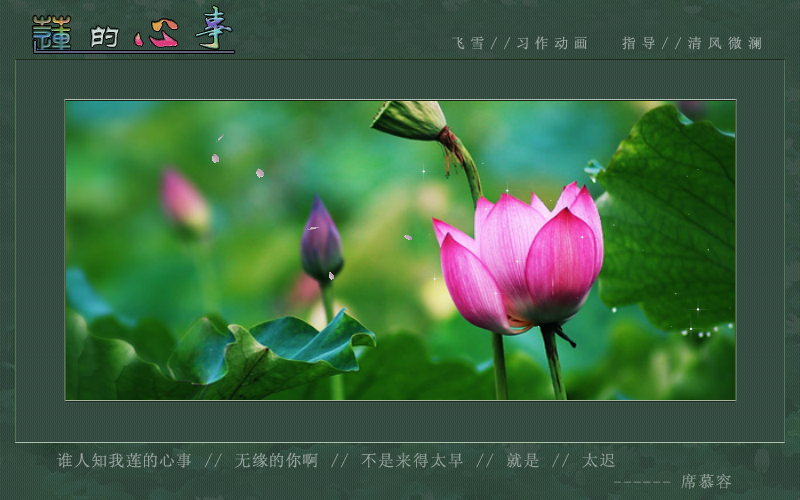 莲的心事（yt005） 截图 2/8