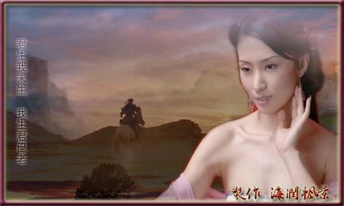 君生我未生 我生君已老（海润枫景） 截图 6/8