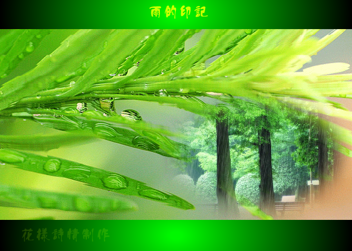 雨的印记（火星人QQ） 截图 2/8