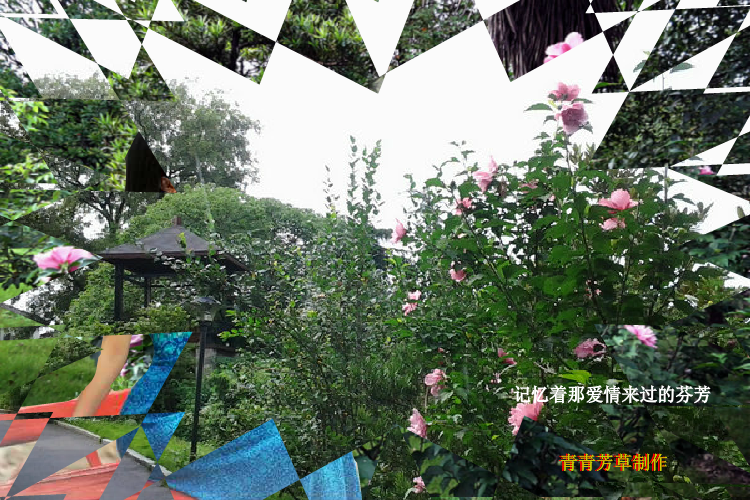 木槿花（sz_yxf） 截图 4/8