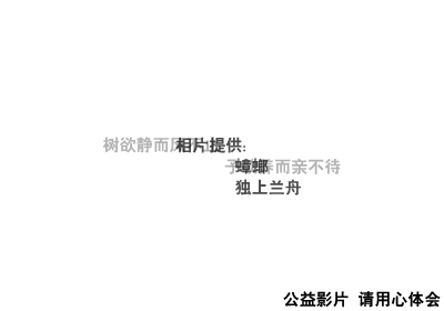 公益片之老人相册（阿饼） 截图 3/6