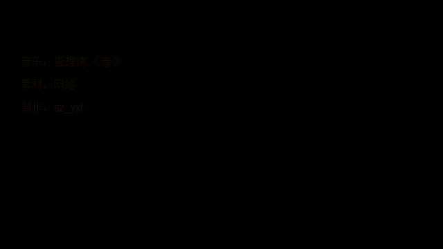 春 截图 1