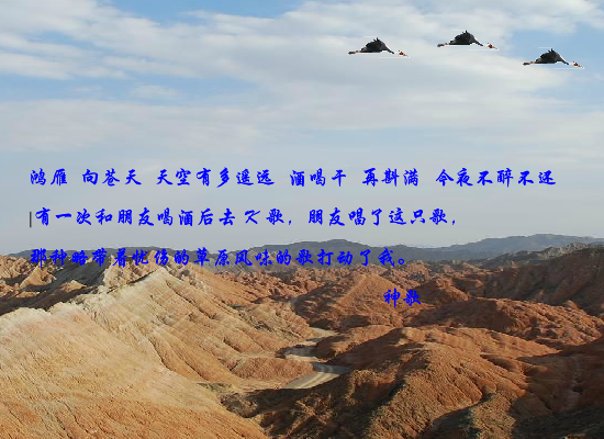 鸿雁（czchina） 截图 5/8