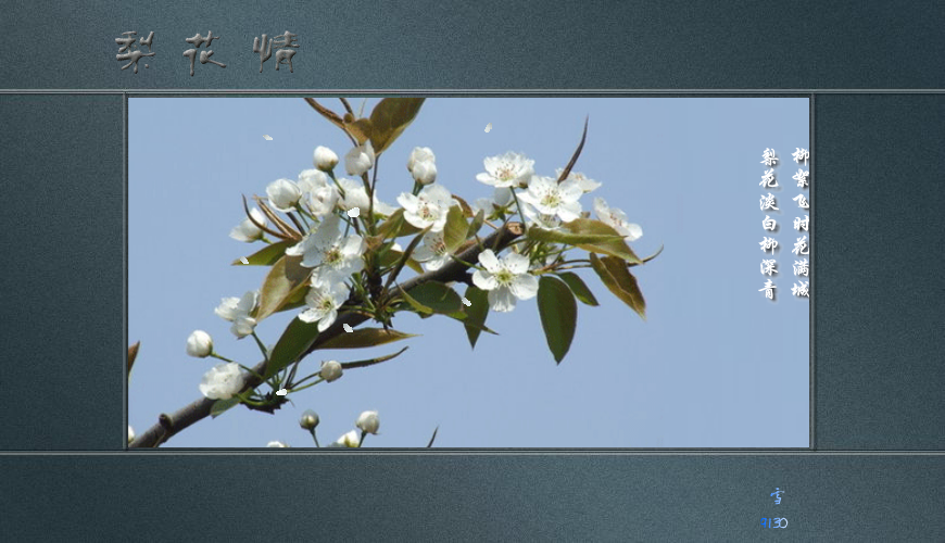 梨花情（白雪） 截图 8/8