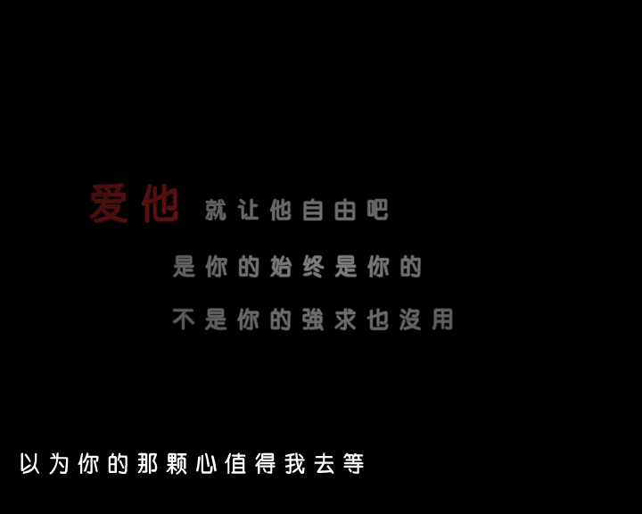 以为你是那个人（韦嘉） 截图 1/4