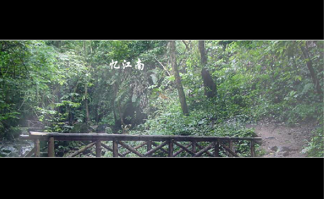 忆江南 截图 1