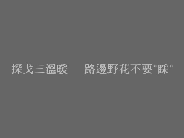 0Y76-1PSB-9A7H 截图 1/8