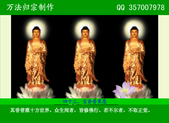 阿弥陀佛四十八大愿（万法归宗） 截图 5/8
