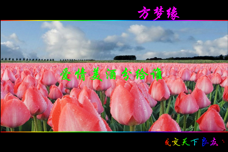 爱情美酒分给谁 截图 3