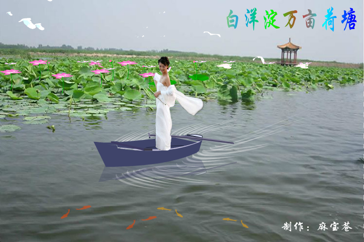 白洋淀万亩荷塘（麻宝苍） 截图 8/8