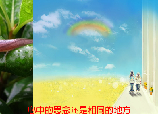 回家（阳光愚石） 截图 5/8
