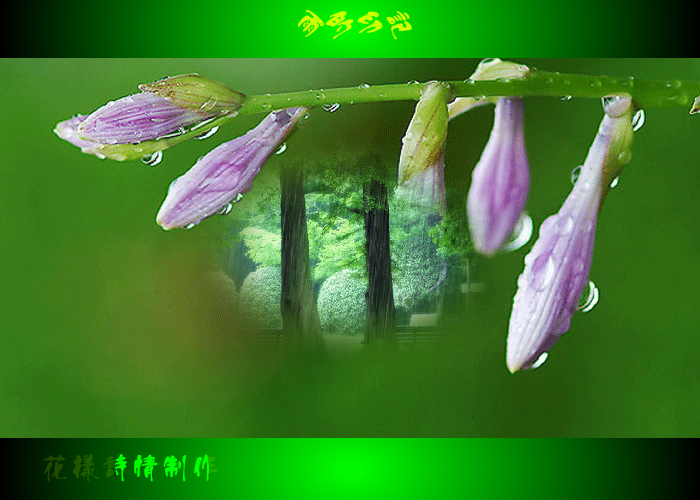 雨的印记（火星人QQ） 截图 8/8