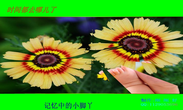 时间都去哪儿了（刚刚好719） 截图 5/8