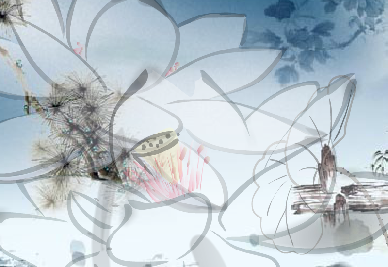 水墨动画（zhaoaiqq） 截图 7/8