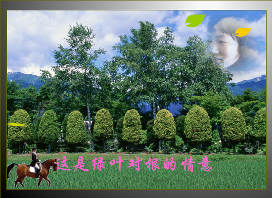 绿叶对根的情意（淌河行） 截图 7/8
