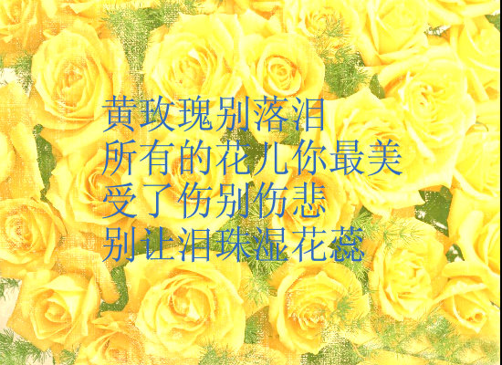 黄玫瑰-ZGH.swf（wuqiyun1981） 截图 1/8