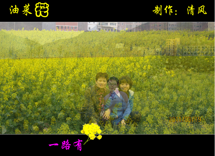 油菜花（清风） 截图 1/8