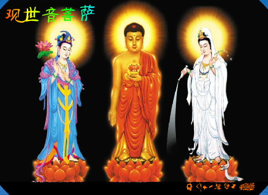 观世音菩萨 截图 3