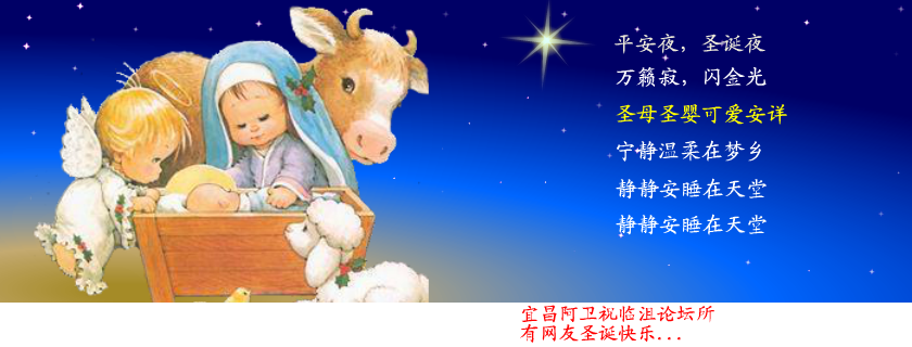 祝临沮论坛所有网友圣诞快乐（TOP阿卫） 截图 5/8