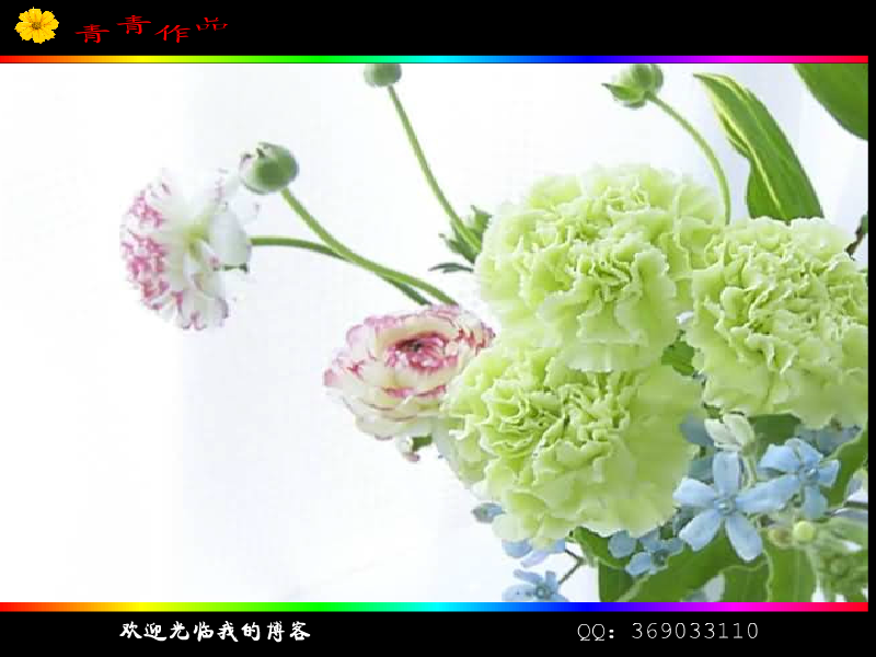 致渐行渐远的青春（恩施青青） 截图 5/8