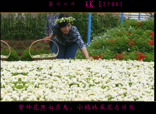 紫竹花开七月天（612955） 截图 4/8