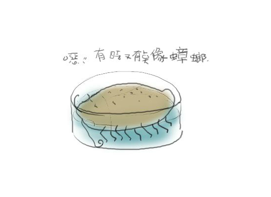 家园（未知） 截图 2/6