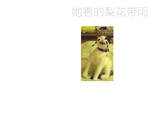 彭猪猪的故事（黑马白兔小老鼠） 截图 8/8