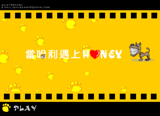 当哈利遇上honey（绿野寻踪） 截图 5/8