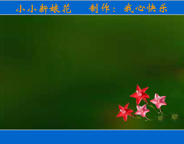 小小新娘花（我心快乐） 截图 4/8