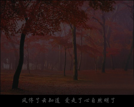 答案随着枫叶飘（mszxf） 截图 2/8
