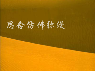 丝路（BB） 截图 6/8